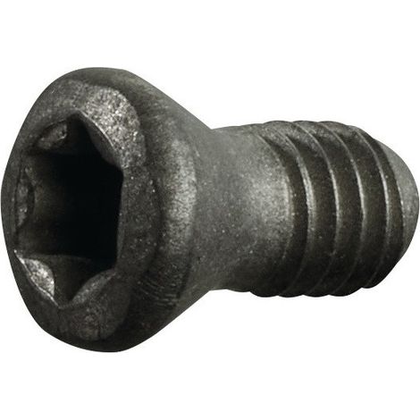 Vite di serraggio T7 per RDHX 0702 per fresa a inserti rotondi PROMAT