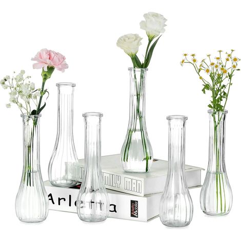 Petit Vase en Verre pour Fleur: 6 Pièces 21,7cm Haut, Transparent (1/5)