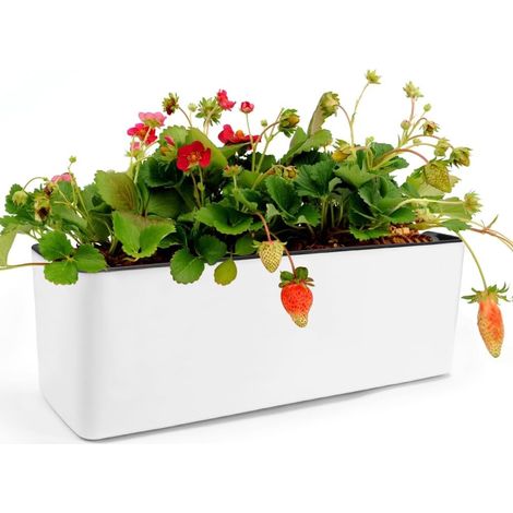 Indoor Flower Pot, Rectangular Planter in White, with Irrigation System and Water Level Indicator, Balcony Planter with Automatic Watering - 40 x 13 x 13 cm (1/5)