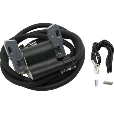 Ignition Coil for 16-18 HP Engines - Ref: 590781, 392329, 394891, 394988 (1/3)