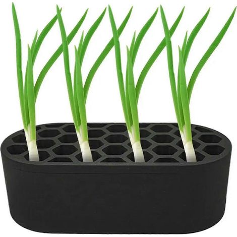 Scallion jardinière SeedlingStarter Trays Regenerator System Growing Hydroponic pour Lawn Gardening intérieur maison (1/5)