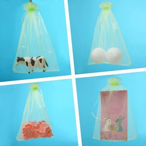 Sac de Protection de Raisins - Filet Contre Les Insectes - 50 pièces - Vert (1/4)