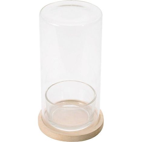 Pot de fleurs en verre purificateur d'air naturel, idéal pour le bureau ou la salle d'étude. (1/4)