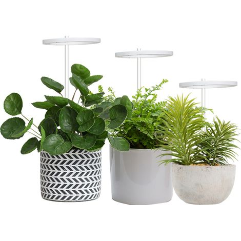 Lampe de croissance LED à trois têtes, USB, pour plantes d'intérieur, à spectre complet, idéale pour les semis et la croissance des plantes. (1/5)