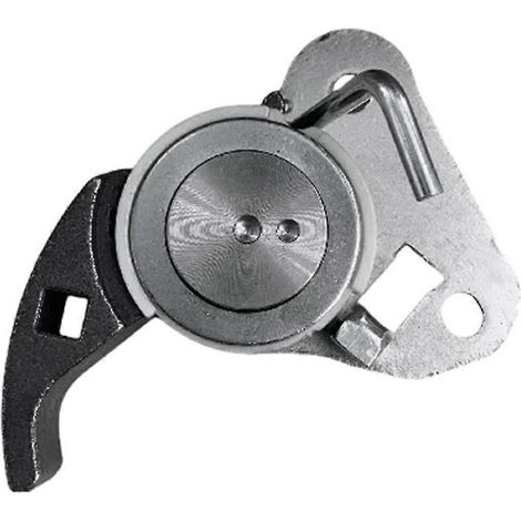 Tendeur de courroie de distribution, pompe à huile, référence F1FZ-6C348-C 2017878 pour Ford Ecosport Focus 2012-2023 F1FZ6C3 (1/5)