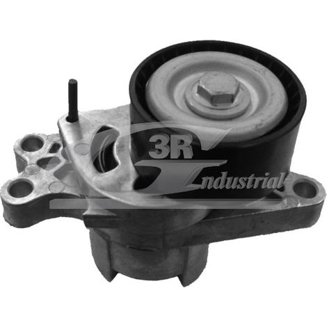 3RG 13202 RODILLO TENSOR