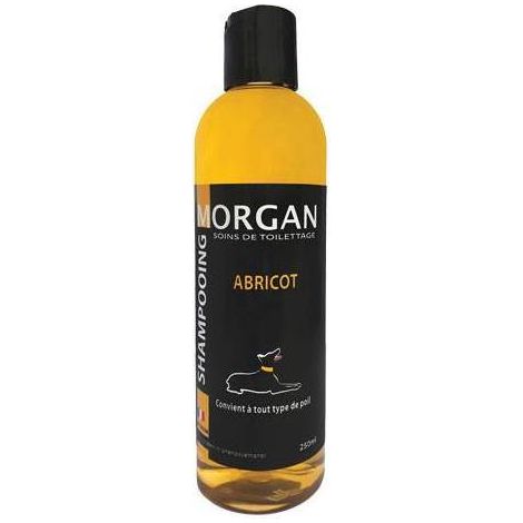 Shampoing protéiné à l'abricot Morgan : 250ml
