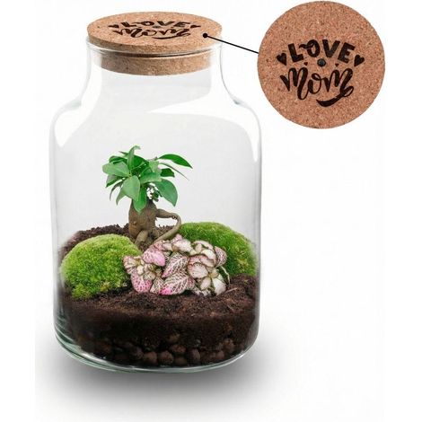 Kit Terrarium DIY Little Milky Bouchon LED Gravé LOVE MOM Ø 17 x 25 cm Cadeau Fête des Mères - PANGIVO (1/5)