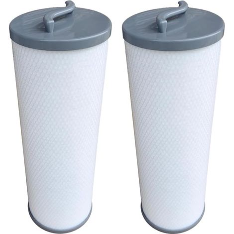 FD4001G Cartouche Filtrante pour Spa Compatibles avec 006541, Silver Sentinel, 900011, RD800-2120, PP6541, Filetage Femelle, Lot de 2 (1/5)