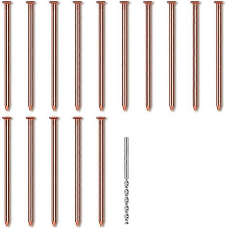 15 clous en cuivre pour enlever les souches d'arbres, 8 cm, en cuivre, pour une utilisation pratique dans l'entretien, la réparation et le bricolage.-AquaForge (1/5)