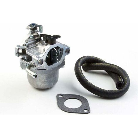 Carburador Briggs & Stratton 590399 (reemplaza 796077) (1/4)