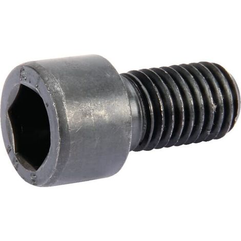 Vite con testa cilindrica 14x30 8.8 DIN912 LEMKEN 3015872