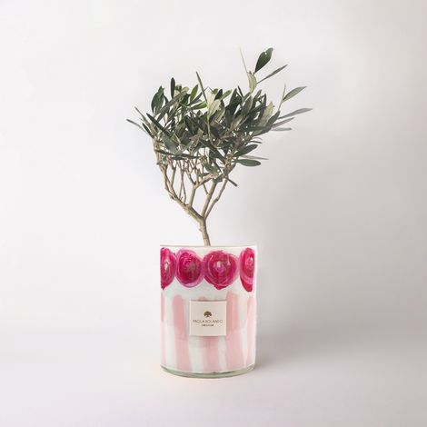 Olivo in vaso di vetro decorato a mano regalo decorazione Tramonto H 15 - Rosa