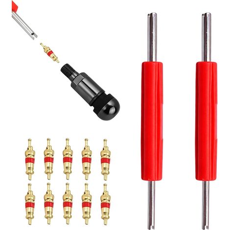 Double Head Valve Core Extractors and 10 Pcs Valve Core (1/5)