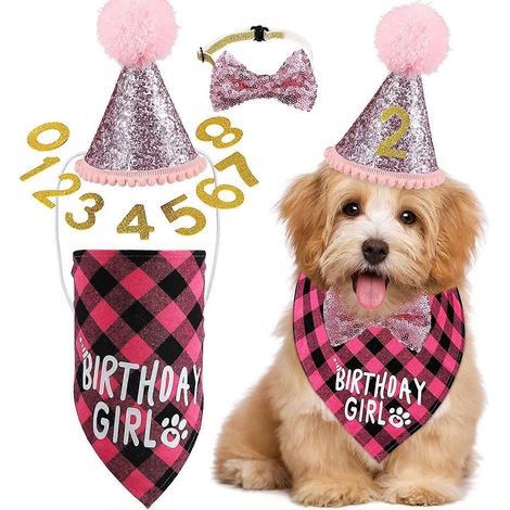 Chapeau d'anniversaire de chien, Chapeau de fête de chien avec collier Bow Tie et numéro d'or, polyvalent et pratique (1/5)