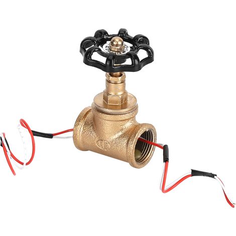 Interrupteur de lampe vintage steampunk industriel rétro noir 3/4 po avec fil rouge et fil blanc pour la maison ou le magasin