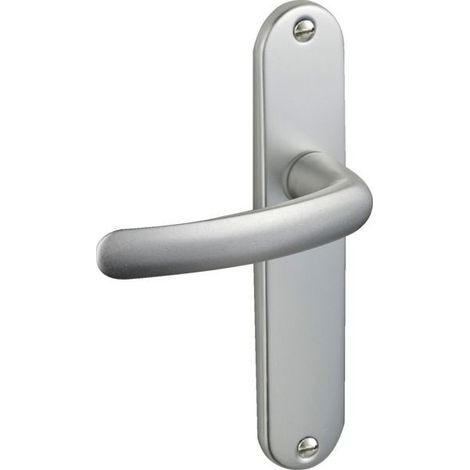 Poignée de porte sur plaque CHAMPAGNE - bec de canne - Budget - Vachette (1/2)