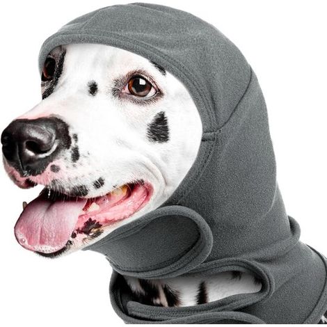Protezione per testa e orecchie per animali domestici, paraorecchie per cani, protezione per la testa per cani, collari anti-ansia per cani, paraorecchie insonorizzati e caldi (1/5)