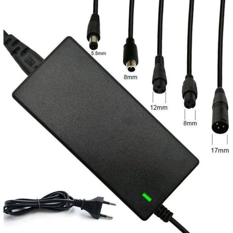 Chargeur Trotinette Electrique, 42V 2A avec 5 Connecteurs pour Scooter Électrique (1/4)