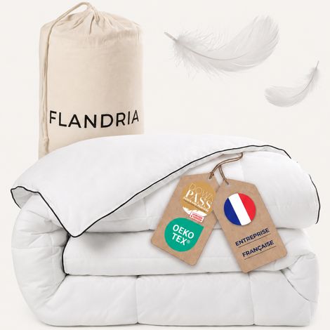 FLANDRIA Couette en Plumes et Duvet Grand Froid 850 g/m², (1/5)