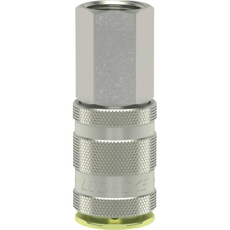 Giunto att rap fil in BSP 1/4" LÜDECKE ESBI14I (1/2)