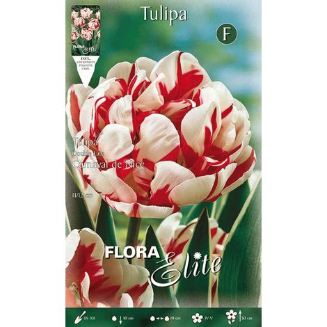 BULBI AUTUNNALI TULIPANO FIORE DOPPIO CARNAVAL DE NICE CONFEZIONE DA 7 BULBI BULBS