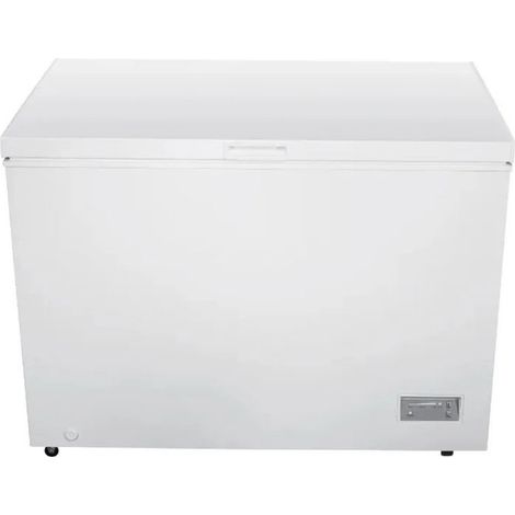 Beko CF316EIWN congelatore Congelatore a pozzo Libera installazione 308 L Bianco