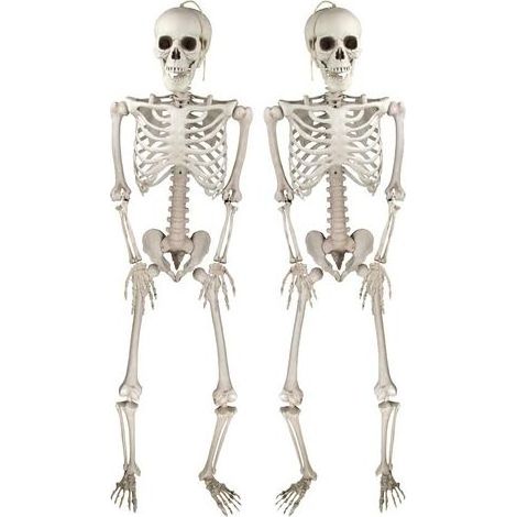 Deco Halloween Squelettes Réalistes d'Posable pour Intérieure et Extérieure, Accessoires Fête Halloween -2PCS- (1/5)