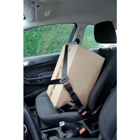 Rallonge de ceinture de sécurité 28-62cm homologuée E R16 Étiquette (1/4)