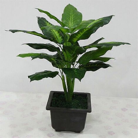Arbre/plante artificiel(ne), matériaux mixtes, plante à feuillage persistant, 50 cm (1/5)