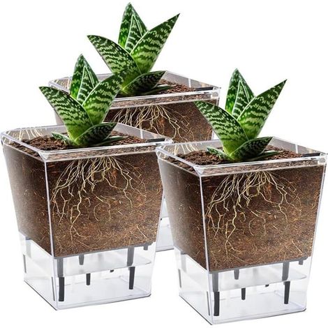Paquet 3 Pots à Arrosage Automatique de 5 Pouces Plantes D'Intérieur, Pot de Fleurs Transparent avec Profondeur pour Plante (1/5)