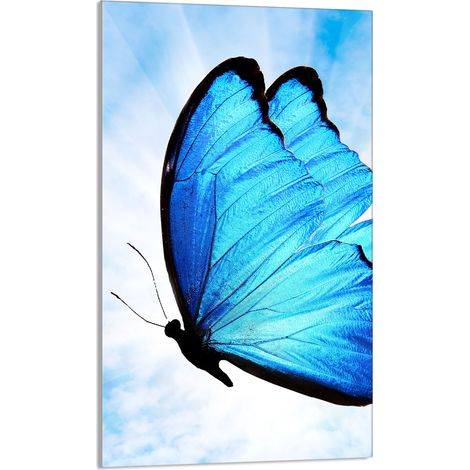 TAGLIERE IN VETRO 30x52 Butterfly (1/5)
