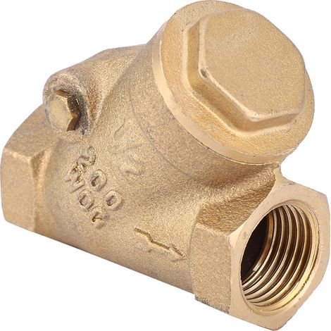 NPT 1/2-Zoll-Gewinde-Rückschlagventil aus Messing, Y-Typ, Einwegventil, 1,6 MPa, für Wasser und Gas (1/5)