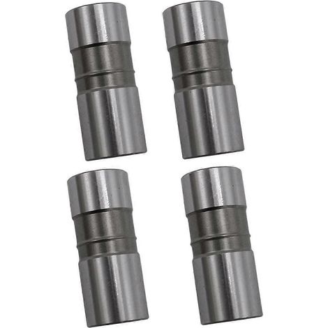 Compatible avec 4 soupapes à poussoirs hydrauliques d'arbre à cames 5137206 (1/5)