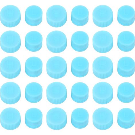 30 Pièces Bouchons de Remplissage Climatisation - Capuchons de Protection pour Valves de Recharge (1/5)