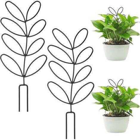 Soportes para plantas trepadoras de interior y jardín - 2 soportes metálicos de 30 cm