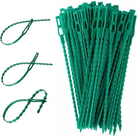 Lot de 100 attaches réglables pour plantes, attaches de jardin en plastique vert flexibles et dentelées pour plantes grimpantes, vignes, fleurs, tomates, arbres, tiges, plantes en pot d'intérieur et d (1/5)