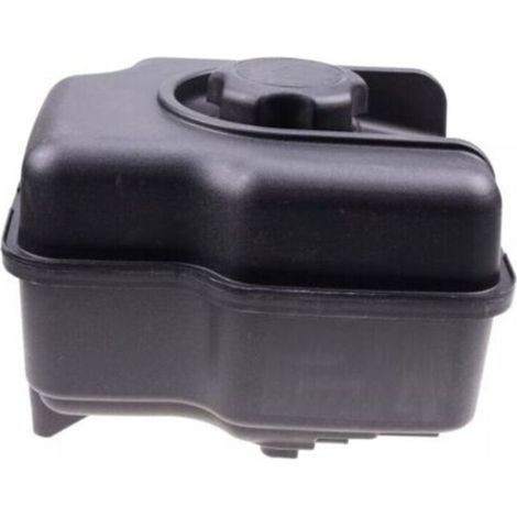 Réservoir de carburant Briggs & Stratton pour moteur compatible 799863, 694260, 695736, 698110 (1/5)