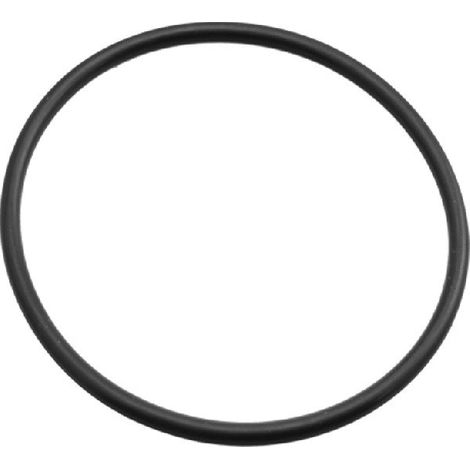O-Ring für ELPUMPS COMPATIBLE Elektropumpen – 047452
