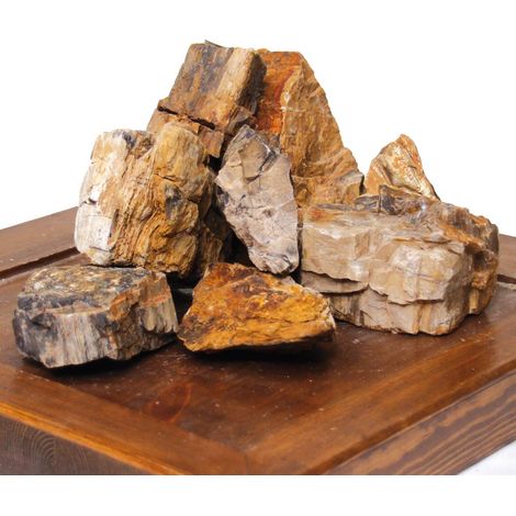 Amtra - Roccia Petrified, decorazione per acquario, naturale, non calcarea, 1 KG
