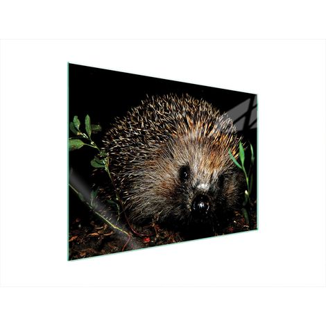 GLASSCHUTZPLATTE FÜR HERD 70x52 IGEL