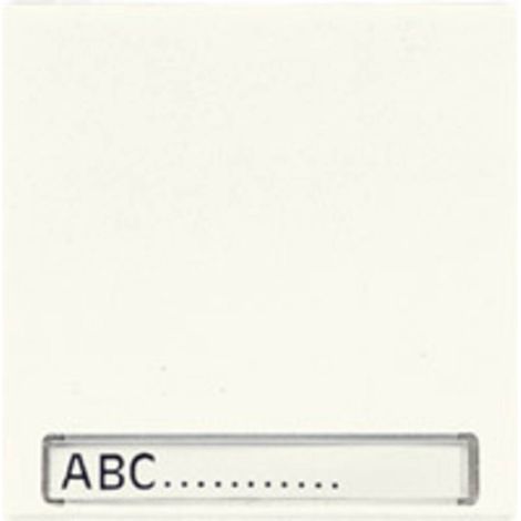 Jung Touche 1gang, avec champ d'inscription, duroplastique, série LS, blanc LS 990 NA (1/3)