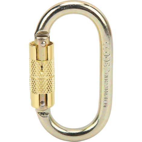 Outdoor-Kletterkarabiner, Typ-O-Verriegelungskarabiner für Bergsteigen und Abseilen, Rettungs- und Höhenarbeitsausrüstung (1/5)