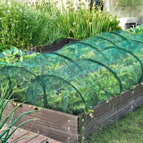 Filet protection jardin surélevé anti-oiseaux pour légumes, tunnel avec arceaux, pour concombres tomates fraises, protection culture (1/5)