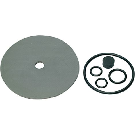 Riegler Verschleißteilesatz, für Druckregler DRV 250, G 1/4 (1/2)