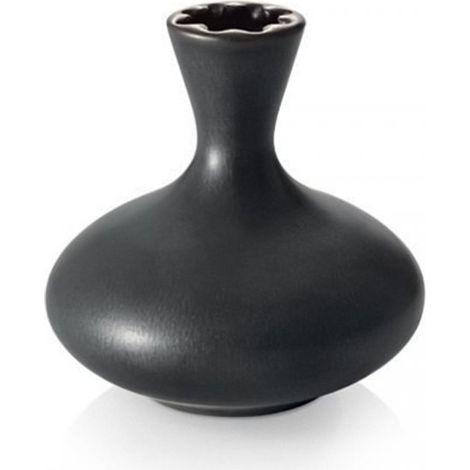 Diffusore Essenza Oasis Nero Ml 250 Fancy Tescoma (1/3)