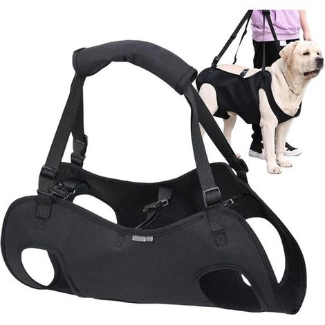 Pettorina per cani, pettorina di supporto e riabilitazione, pettorina riabilitativa adatta per animali domestici, tracolla traspirante, borsa trasportino per cani, taglia L