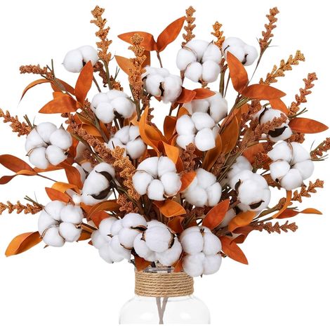 2 Bouquet Fleurs Séchées Naturelles Decoration Automne avec Coton (1/5)