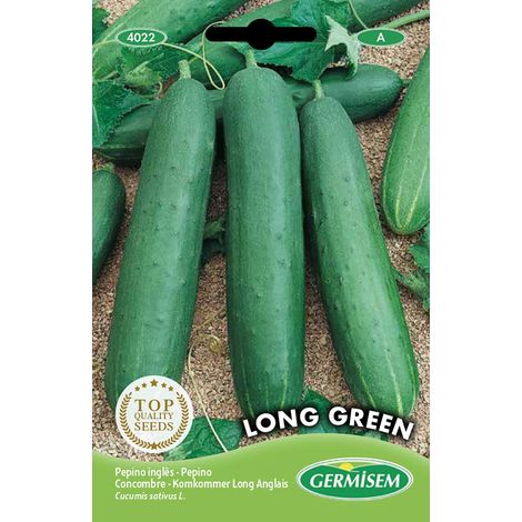 graines Concombre LONG GREEN (1/2)