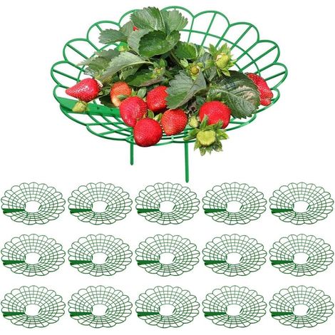 15 Pièces Supports pour Fraises et légumes, Support de Culture de Fraises, Supports à Fraises, Support Fraisier pour Fraisiers, Protection Anti-Escargots et Protection Contre la Pourriture (1/5)